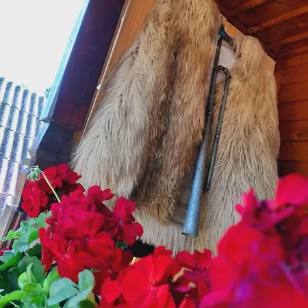 Casa De La Ferma Mariuca Berbesti
