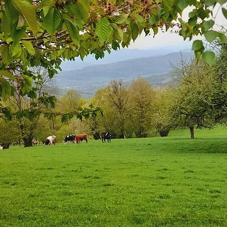 Κατάλυμα σε φάρμα Casa De La Ferma Mariuca *