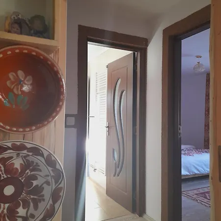 Casa De La Ferma Mariuca Κατάλυμα σε φάρμα Berbesti